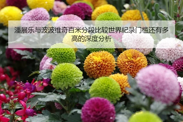 潘展乐与波波维奇百米分段比较世界纪录门槛还有多高的深度分析