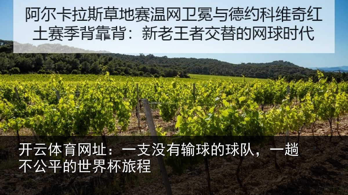 开云体育网址：一支没有输球的球队，一趟不公平的世界杯旅程